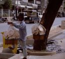 Thai Bread Seller, Pattaya